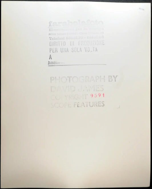 Sally Nicholson anni 70 Ft 35156 - Stampa 20x25 cm - Farabola Stampa ai sali d'argento
