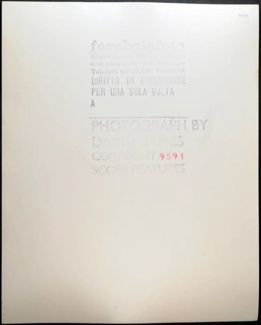 Sally Nicholson anni 70 Ft 35157 - Stampa 20x25 cm - Farabola Stampa ai sali d'argento
