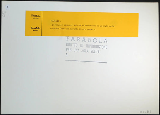 Pappagalli ammaestrati anni 60 Ft 686 - Stampa 30x24 cm - Farabola Stampa ai sali d'argento