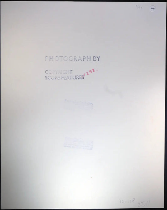 Paul Newman Film Harry & Son 1984 Ft 1009 - Stampa 27x37 cm - Farabola Stampa ai sali d'argento