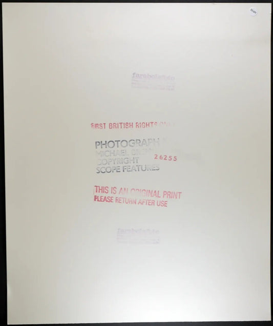 Michael Olajide Jr. anni 80 Ft 35071 - Stampa 30x37 cm - Farabola Stampa ai sali d'argento