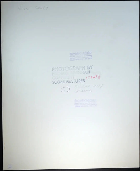 Pugilato Sugar Ray Seales Ft 91 - Stampa 27x37 cm - Farabola Stampa ai sali d'argento
