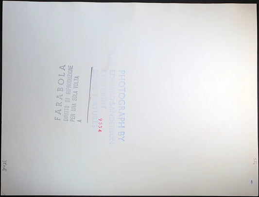 Robert Redford Film Il Cavaliere Elettrico Ft 623 - Stampa 27x37 cm - Farabola Stampa ai sali d'argento
