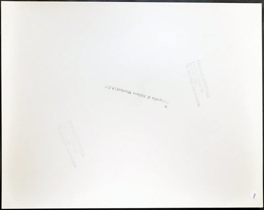 Roma Piazza San Pietro Manifestazione 1991 Ft 2097 - Stampa 24x30 cm - Farabola Stampa ai sali d'argento