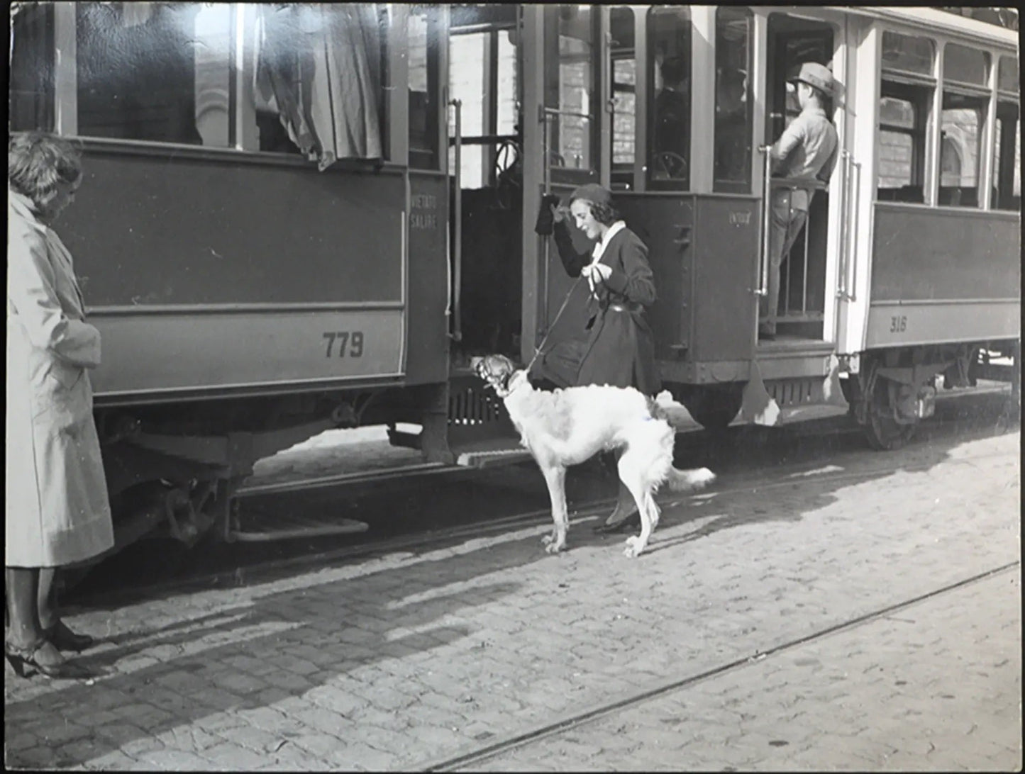 Roma Signora con levriero 1931 Ft 48 - Stampa 30x24 cm - Farabola Stampa ai sali d'argento