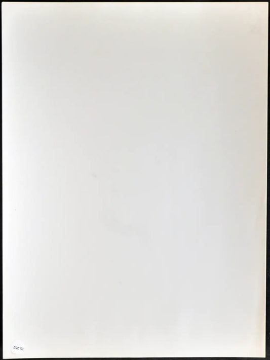Ryan O'Neal 1981 Ft 35262 - Stampa 20x25 cm - Farabola Stampa ai sali d'argento