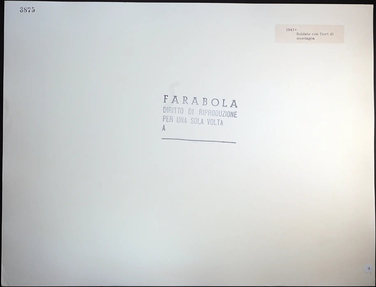 Soldato con fiori di montagna 1941 Ft 75 - Stampa 30x40 cm - Farabola Stampa ai sali d'argento