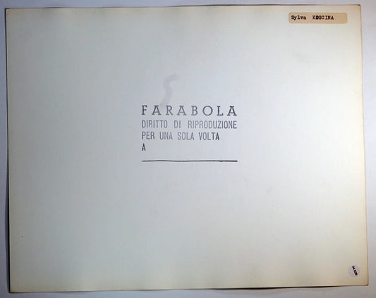 Sylva Koscina 1953 Ft 34828 - Stampa 30x24 cm - Farabola Stampa ai sali d'argento