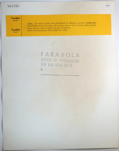 Armando Falconi 1920 Ft 34781 - Stampa 30x24 cm - Farabola Stampa ai sali d'argento