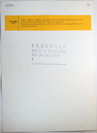 Armando Falconi Ft 34782 - Stampa 30x24 cm - Farabola Stampa ai sali d'argento