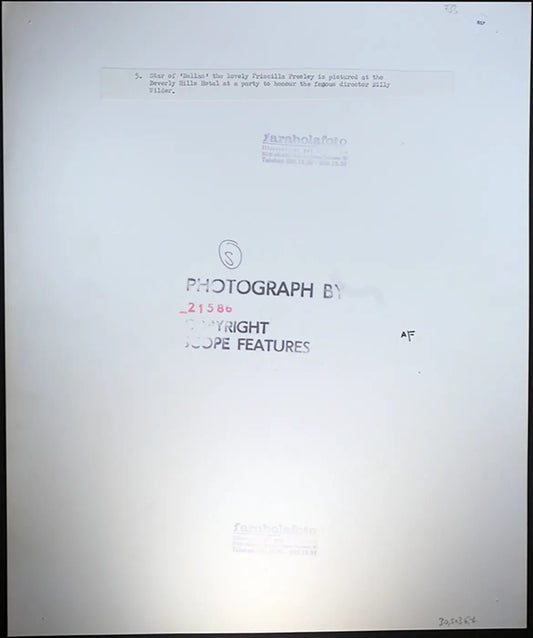 Priscilla Presley anni 80 Ft 857 - Stampa 27x37 cm - Farabola Stampa ai sali d'argento