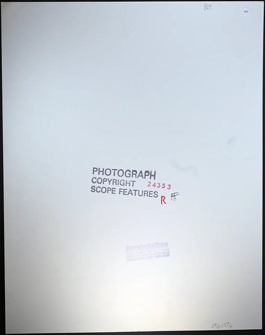 Bjorn Borg anni 80 Ft 903 - Stampa 27x37 cm - Farabola Stampa ai sali d'argento