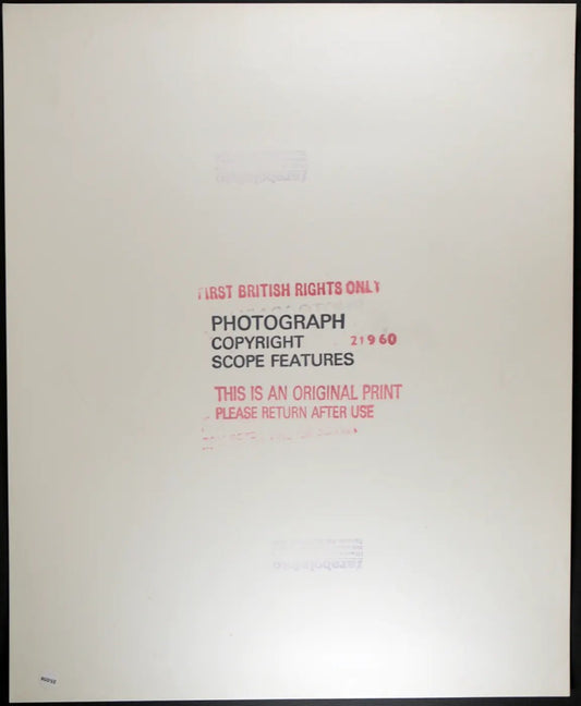 Dick Van Dyke Pamela Sue Martin Ft 35058 - Stampa 27x37 cm - Farabola Stampa ai sali d'argento