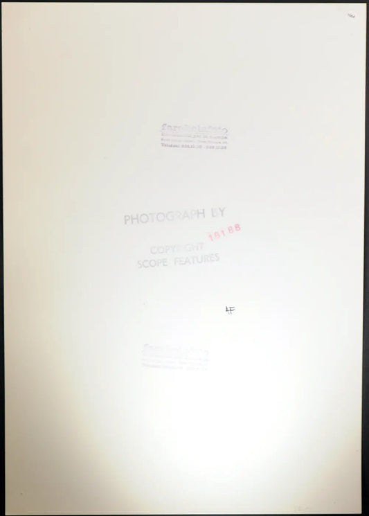 Joan Collins anni 80 Ft 1064 - Stampa 24x37 cm - Farabola Stampa ai sali d'argento