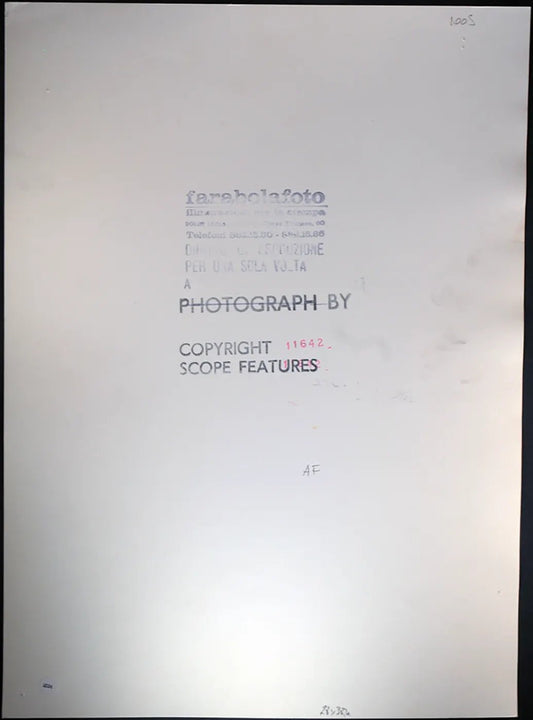 Priscilla Presley anni 80 Ft 1021 - Stampa 27x37 cm - Farabola Stampa ai sali d'argento