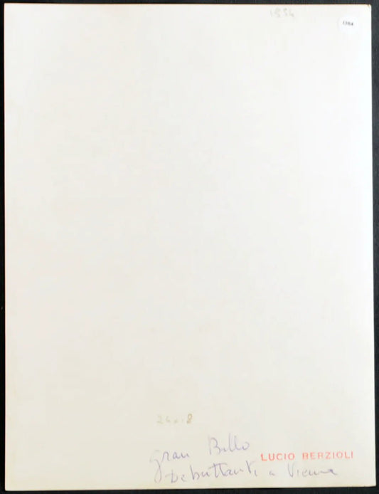 Vienna Ballo delle Debuttanti Ft 1384 - Stampa 24x18 cm - Farabola Stampa ai sali d'argento