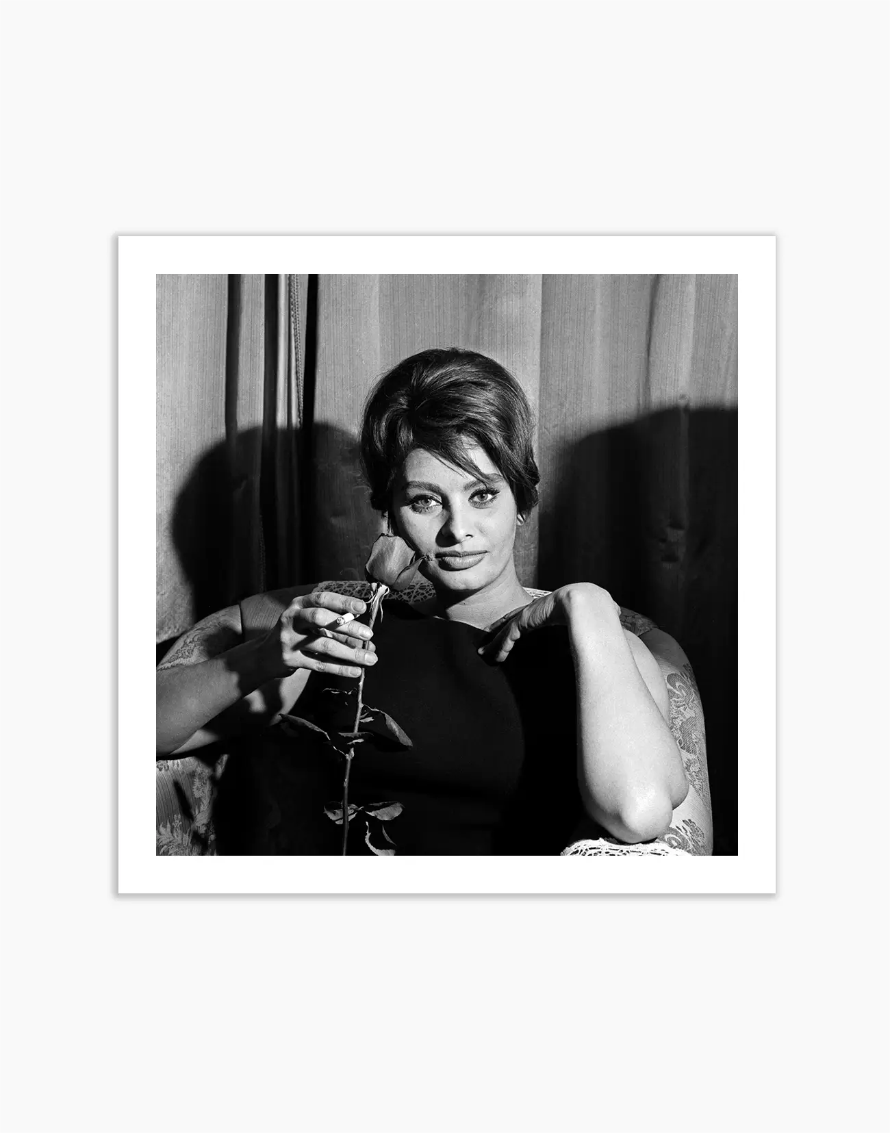 Sophia Loren con una rosa, 1960
