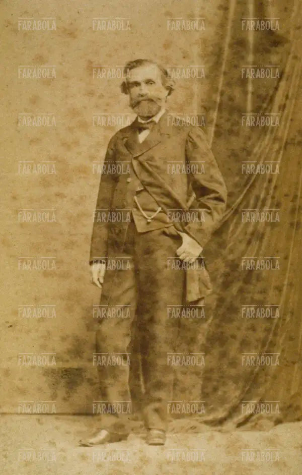 Giuseppe Verdi da giovane, XIX secolo
