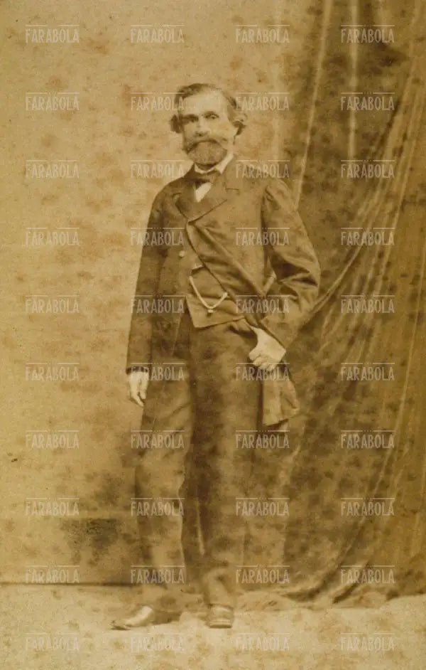 Giuseppe Verdi da giovane, XIX secolo