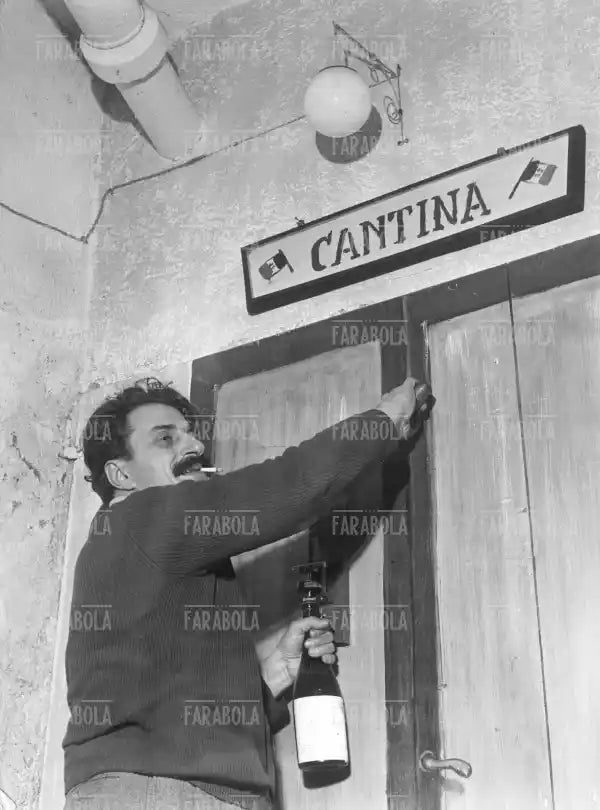 Giovanni Guareschi apre bottiglie di vino nella sua cantina, 1950