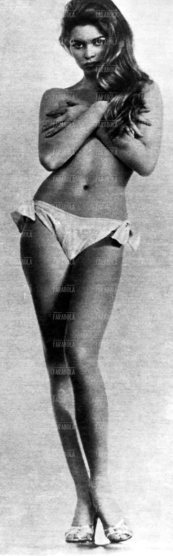 Brigitte Bardot, anni 50