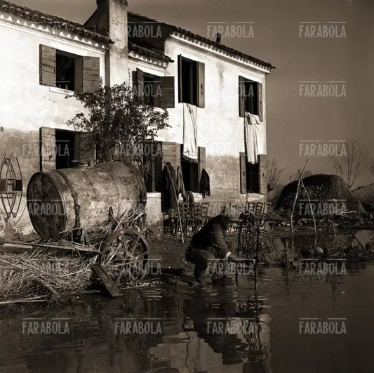 Resti di una casa, Alluvione del Polesine, Rovigo, 1951