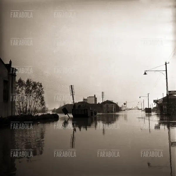 Resti di una casa, Alluvione del Polesine, 1951