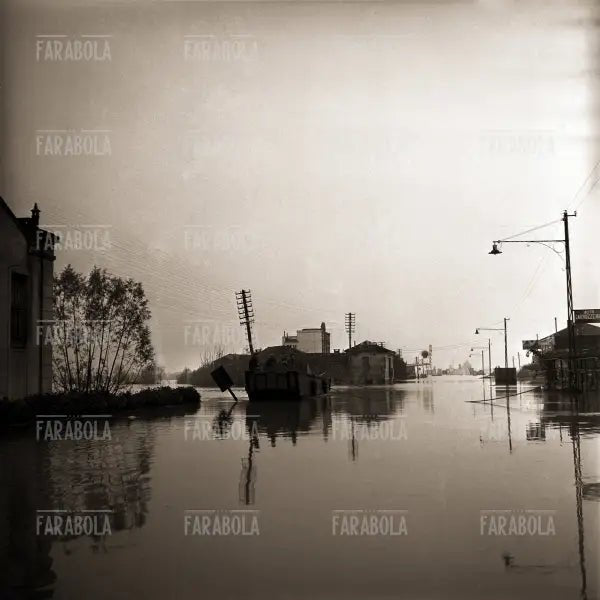 Resti di una casa, Alluvione del Polesine, 1951