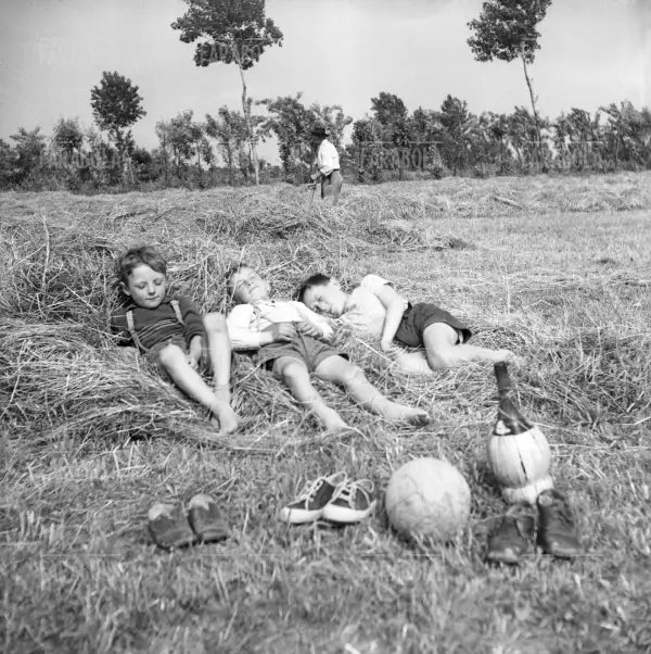 Figli di contadini dormono su un prato, 1952