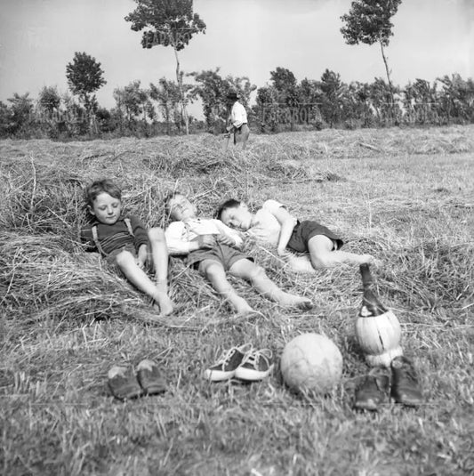 Figli di contadini dormono su un prato, 1952
