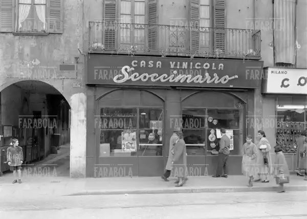 Negozio di vini Scoccimarro, Milano, 1954