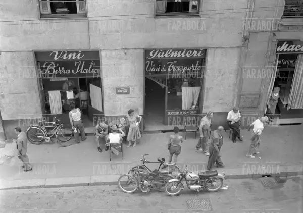Negozio di vini Palmieri in via Castaldi, Milano, 1954
