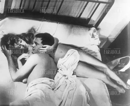 Brigitte Bardot e Jean-Louis Trintignant, Film Piace a troppi, 1956