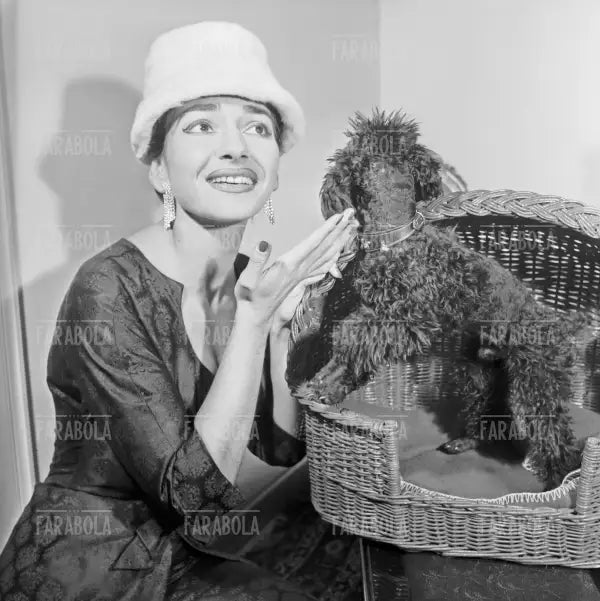 Maria Callas in casa con il suo cane, Milano, 1957