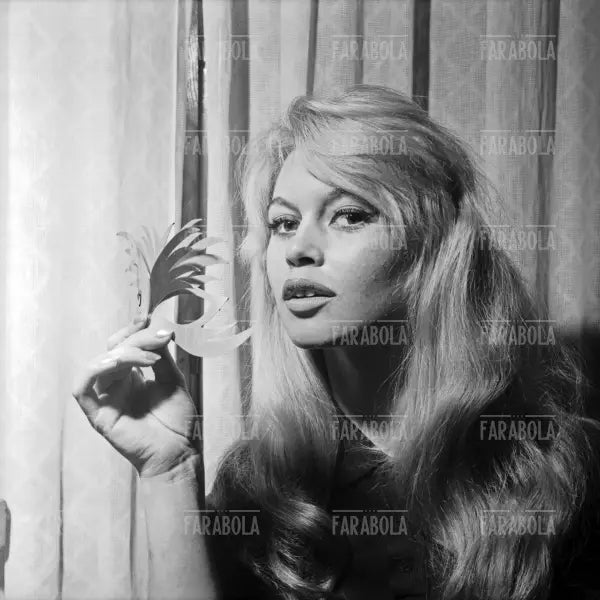 Brigitte Bardot, Venezia, 1958