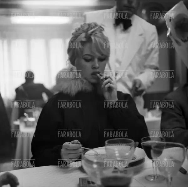 Brigitte Bardot, Venezia, 1958
