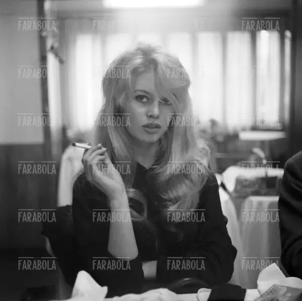 Brigitte Bardot, Venezia, 1958