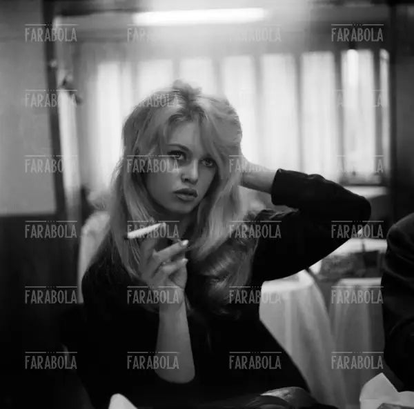 Brigitte Bardot, Venezia, 1958