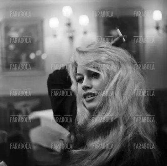 Brigitte Bardot, Venezia, 1958