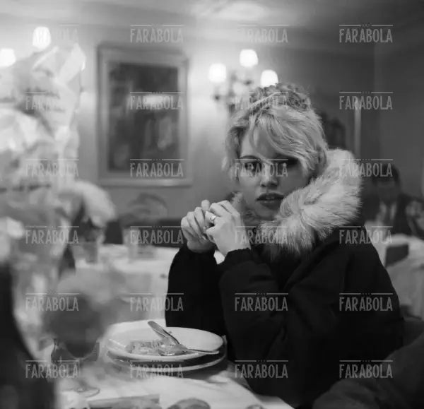 Brigitte Bardot, Venezia, 1958
