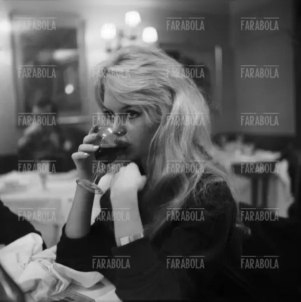 Brigitte Bardot, Venezia, 1958