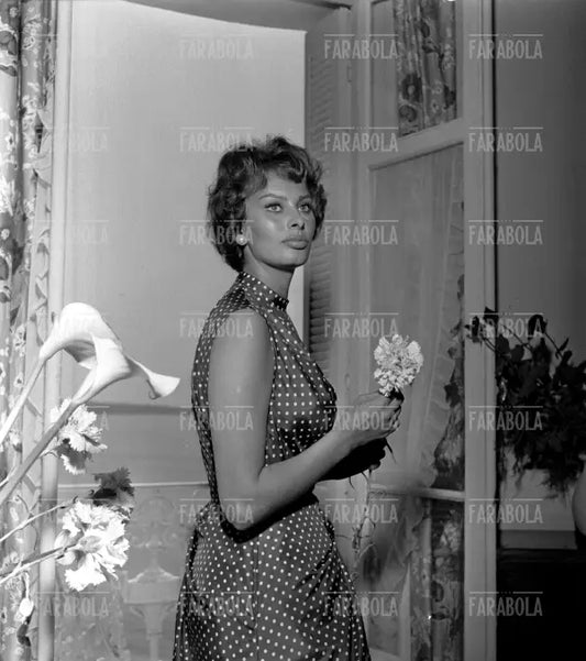 Sophia Loren, Festival di Cannes, 1958