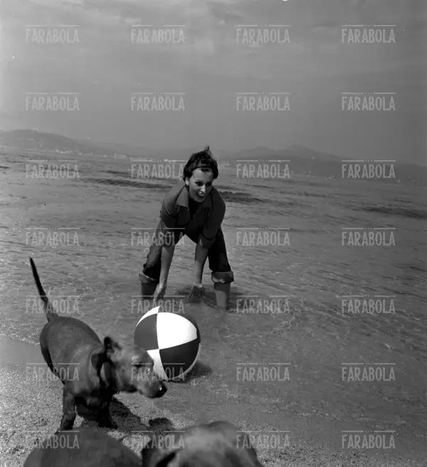 Sophia Loren gioca nell'acqua con i cani, Saint-Tropez, 1958