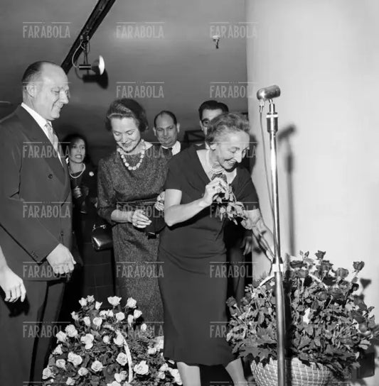 Linda Pedrotti Brustio alla mostra di antiquariato della Rinascente, Milano, 1958