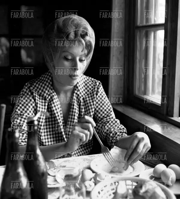 Sophia Loren, Vienna, 1959