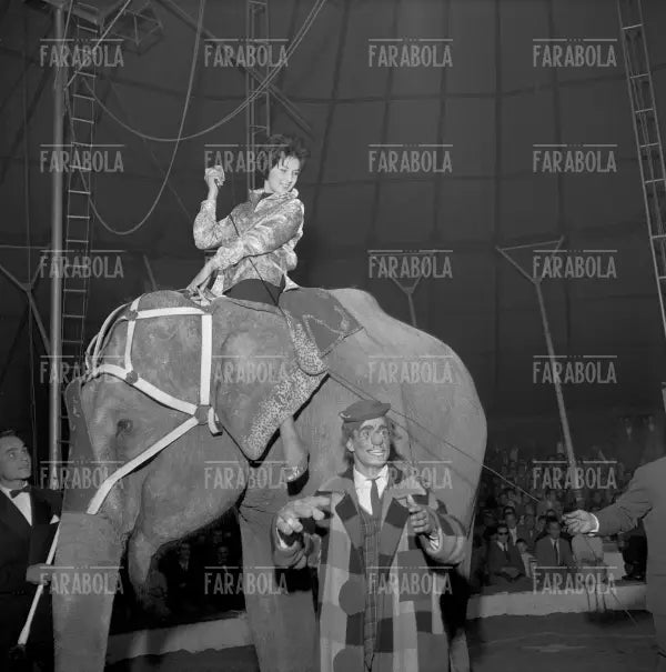 Mina su un elefante del Circo Togni, Cremona, 1959