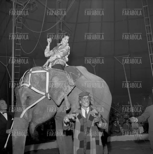 Mina su un elefante del Circo Togni, Cremona, 1959