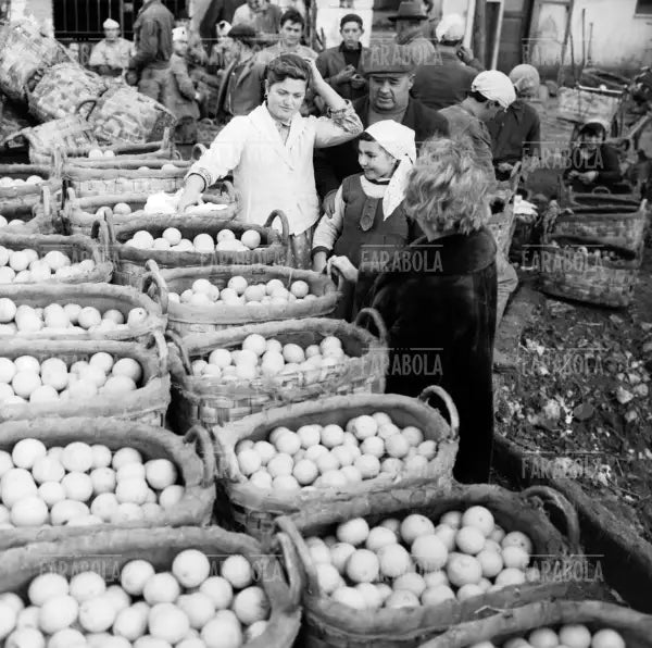 Bancarella di frutta al mercato, Milano, 1959