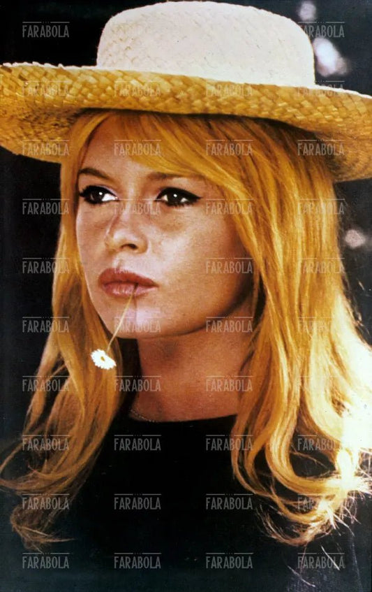 Brigitte Bardot, anni 60