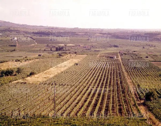Panorama dei Castelli Romani, Lazio, anni 60
